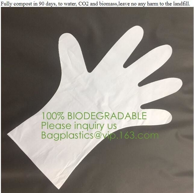 Guantes biodegradables y abonablees del PLA, guantes disponibles de la cocina biodegradable barata del OEM con el estiércol vegetal h de la AUTORIZACIÓN de EN13432 BPI