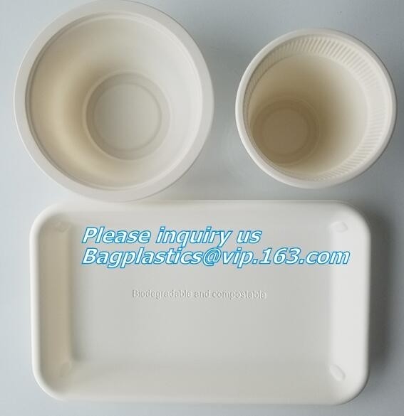 ENVASE DEL CUENCO DEL PLATILLO DE LA CAÑA DE AZÚCAR, BANDEJA DEL PLATO DEL PLA, CULTERY, PAJA, ALMIDÓN BAGPLASTICS BAGEASE DEL BAGAZO DEL SERVICIO DE MESA DE ECO BIO
