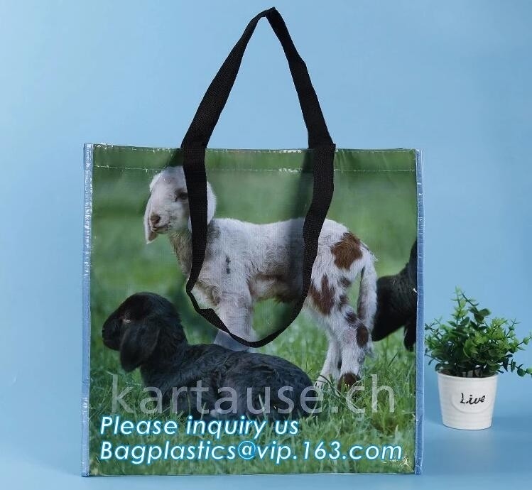 la transferencia de calor imprimió los bolsos de compras plegables tejidos los pp del totalizador del multifuction de la fruta, tela tejida 60gsm-140gsm del eco, optimizando