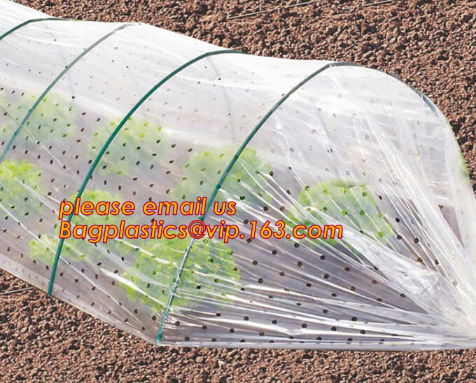 control solar de la alta transmitencia ligera que siembra las cubiertas del invernadero del cuarto de niños, cucumb de una sola capa protector virginal del LDPE del 100%