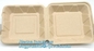 Compostable Dinnerware Corn Starch Biodegradable Meat / Cake / Rectangular Tray